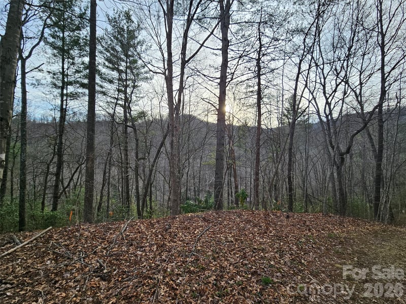 00 Wispy Willow Dr #22T, Waynesville, NC 28785