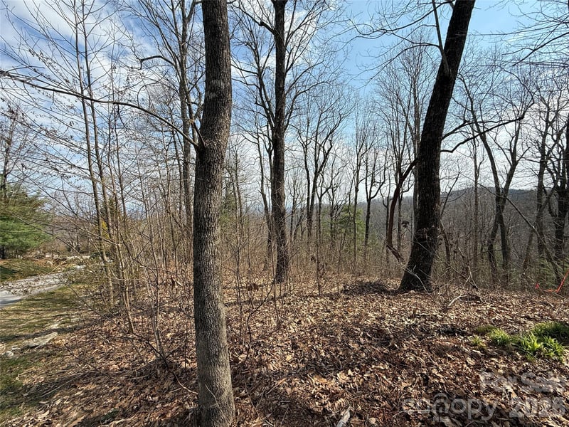 108 Fawncrest Ct #51 - R, Flat Rock, NC 28731