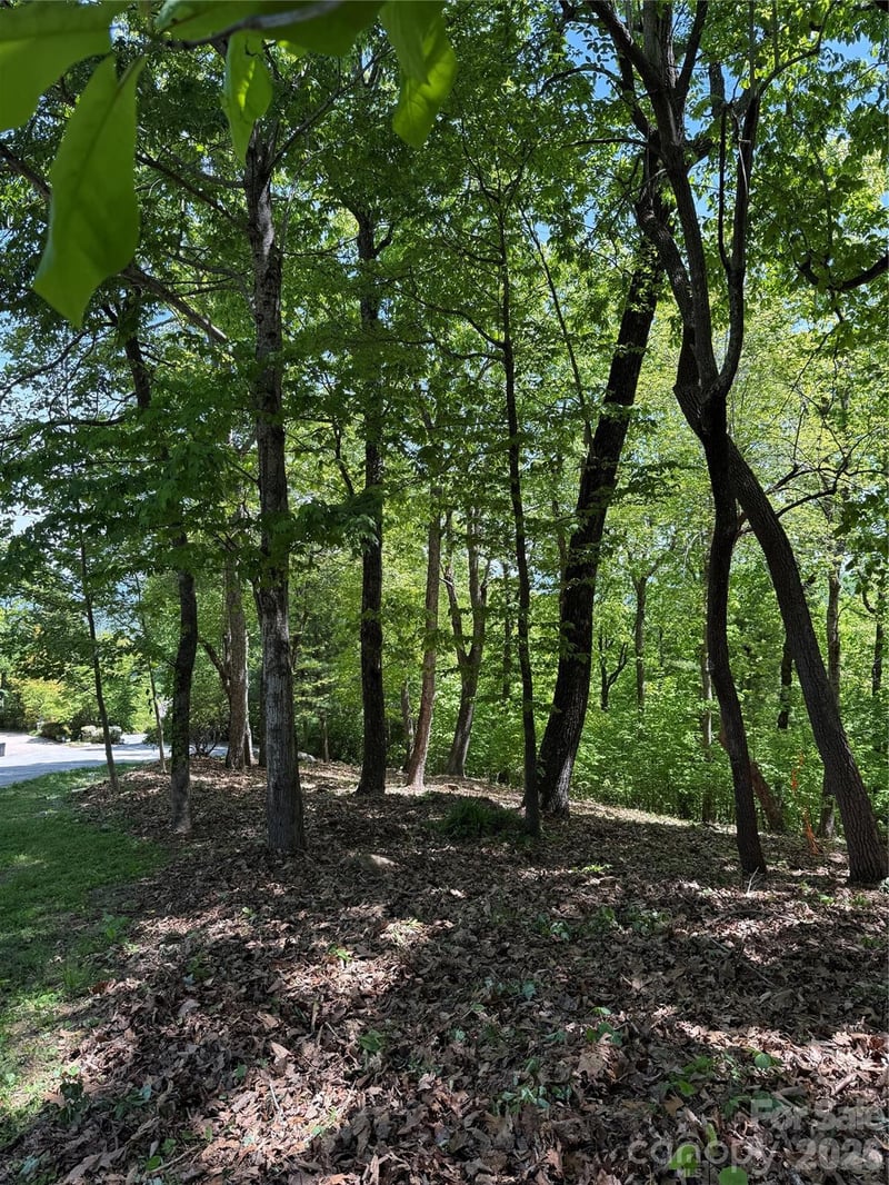 108 Fawncrest Ct #51 - R, Flat Rock, NC 28731