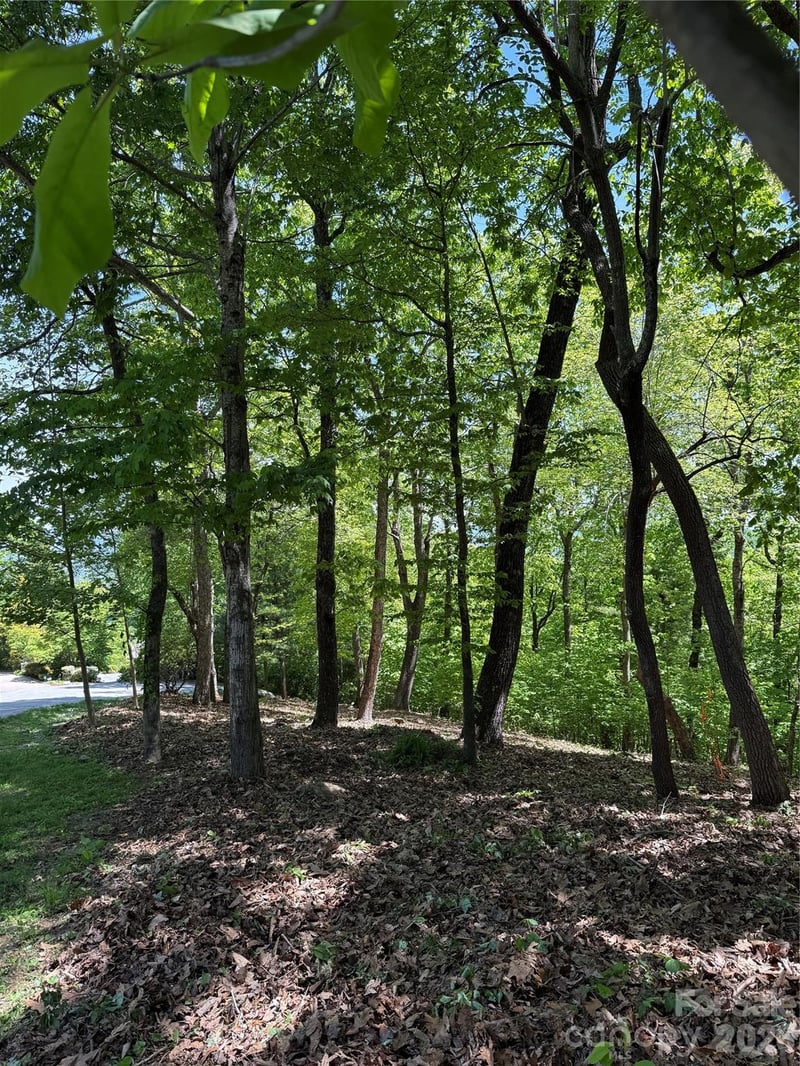 108 Fawncrest Ct #51 - R, Flat Rock, NC 28731