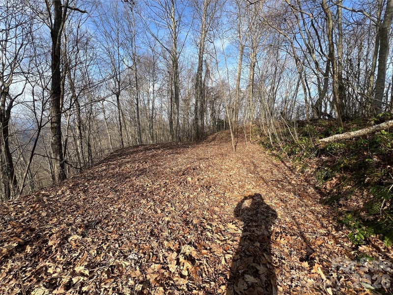 Lot 2426 Butterfly Pa, Bryson City, NC 28713