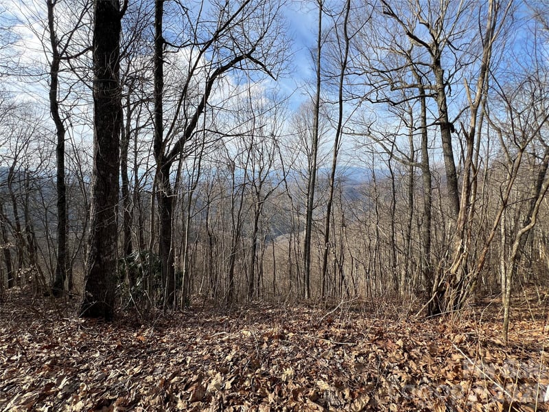 Lot 2426 Butterfly Pa, Bryson City, NC 28713