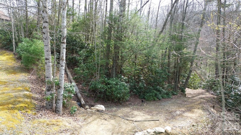 0000 Woodlake Loop Rd, Elk Park, NC 28622