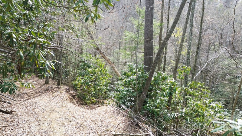 0000 Woodlake Loop Rd, Elk Park, NC 28622