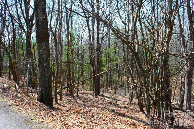 0000 Slick Rock Rd, Brevard, NC 28712