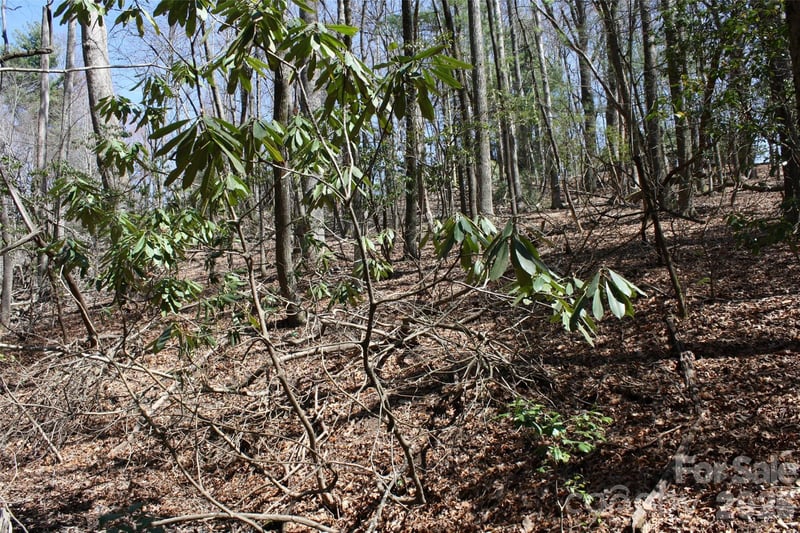 0000 Slick Rock Rd, Brevard, NC 28712
