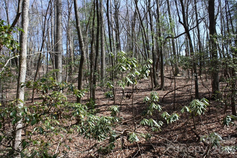 0000 Slick Rock Rd, Brevard, NC 28712