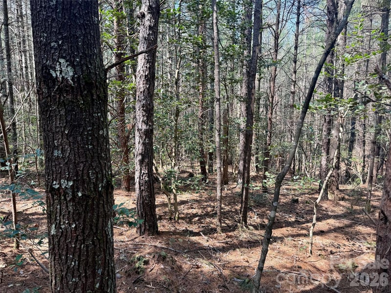 2494 Ivy Rays Way #41, Nebo, NC 28761