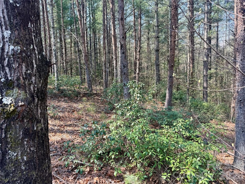 2494 Ivy Rays Way #41, Nebo, NC 28761