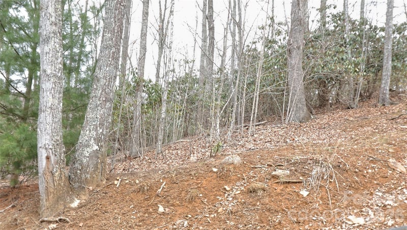 TBD Vineyards Retreat Rd #14, Newland, NC 28657