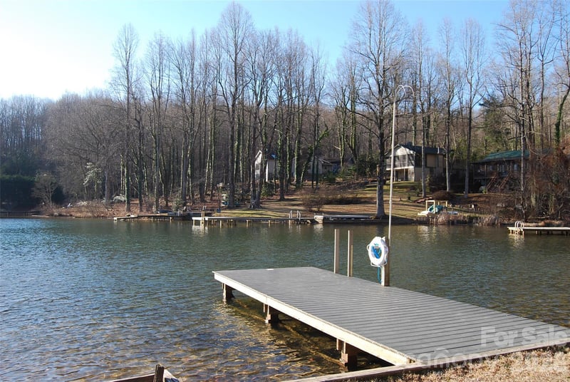 87 Pole Cat Rd, Saluda, NC 28773
