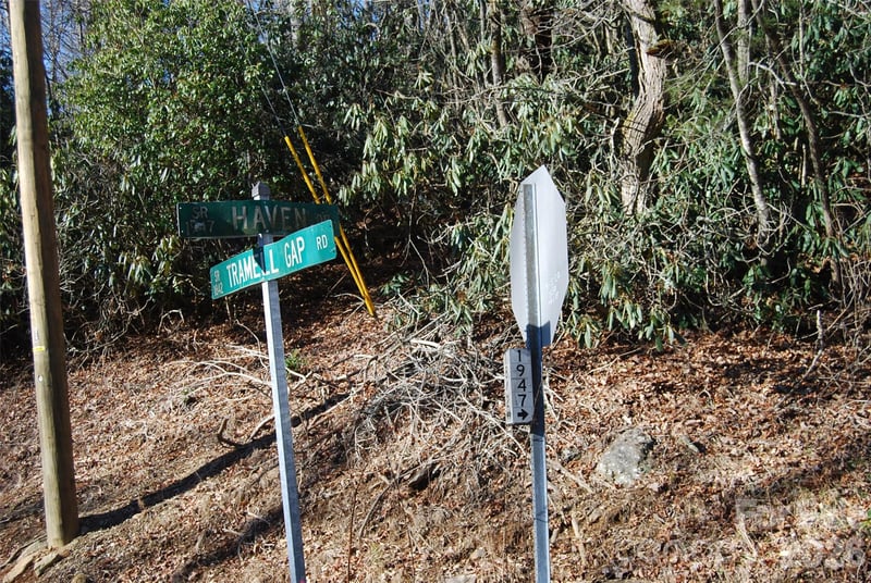 87 Pole Cat Rd, Saluda, NC 28773
