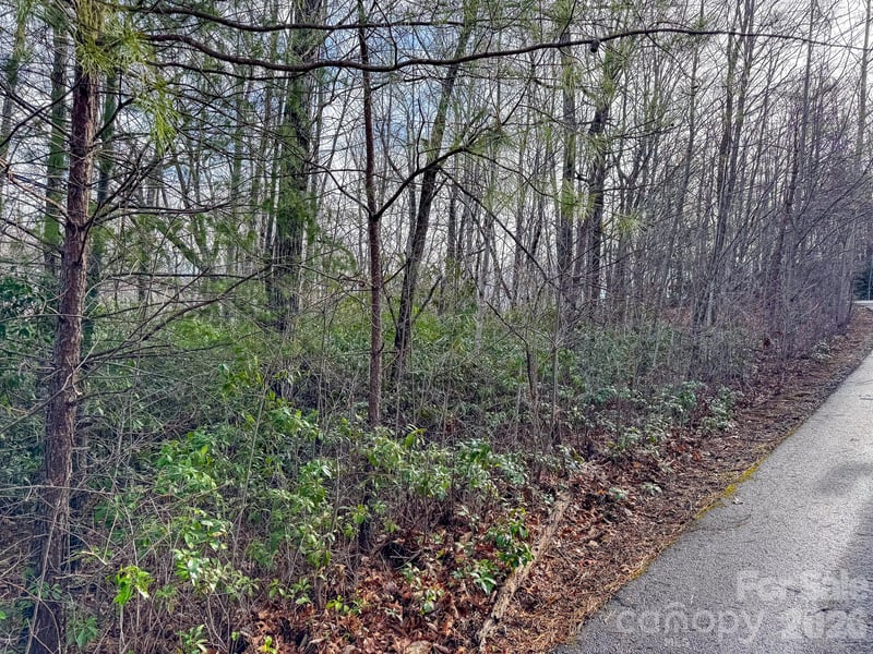 9999 Rainbow Falls Trl, Black Mountain, NC 28711