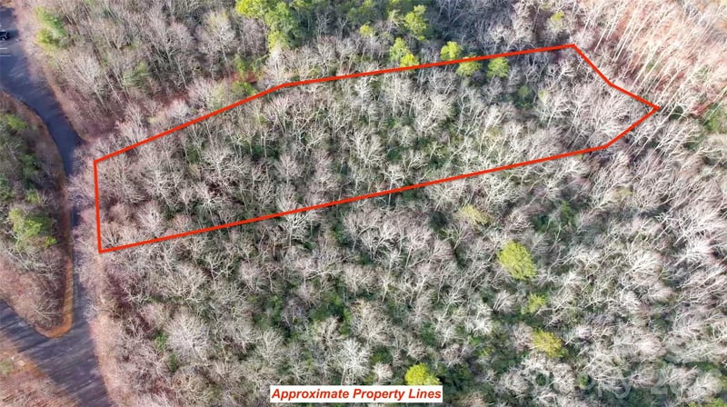 9999 Rainbow Falls Trl, Black Mountain, NC 28711