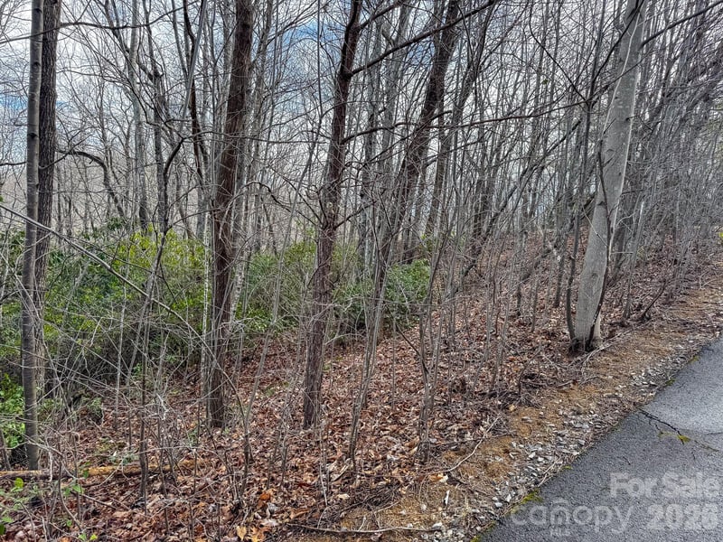 9999 Rainbow Falls Trl, Black Mountain, NC 28711