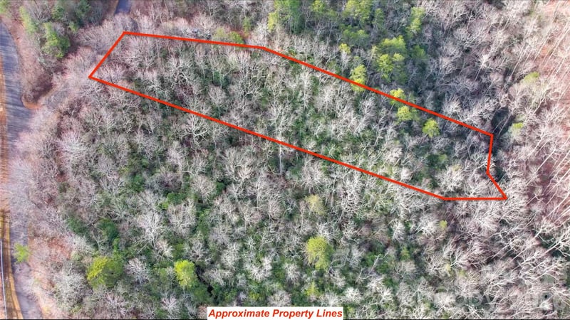 9999 Rainbow Falls Trl, Black Mountain, NC 28711