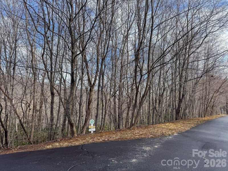 9999 Rainbow Falls Trl, Black Mountain, NC 28711