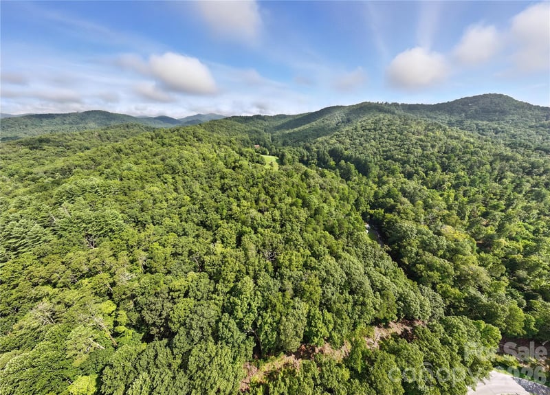 0000 Mullinax Cove Rd, Mills River, NC 28759