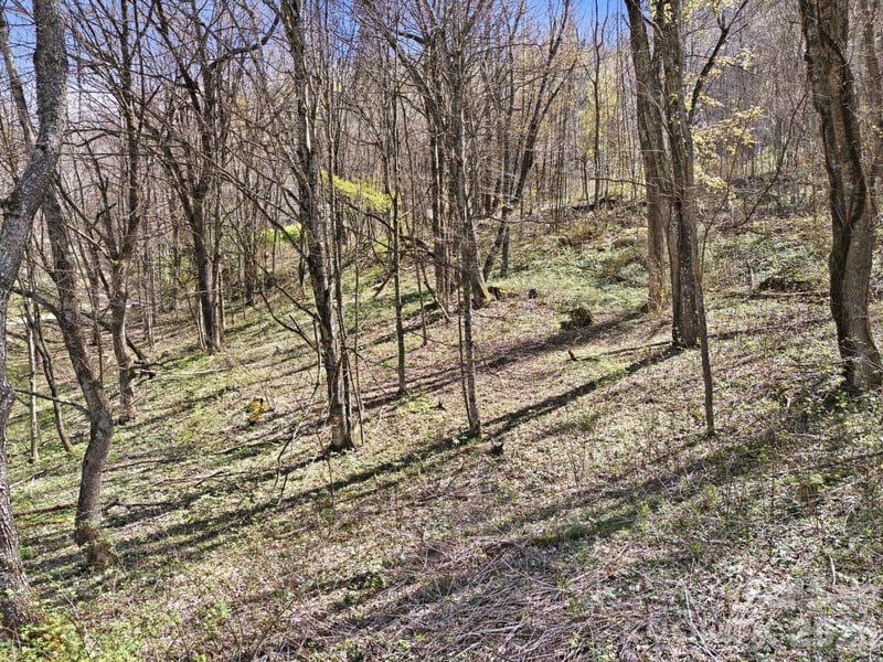 210 Apple Creek Rd, Waynesville, NC 28786