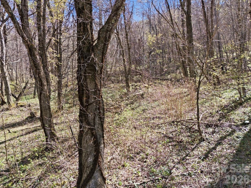 210 Apple Creek Rd, Waynesville, NC 28786