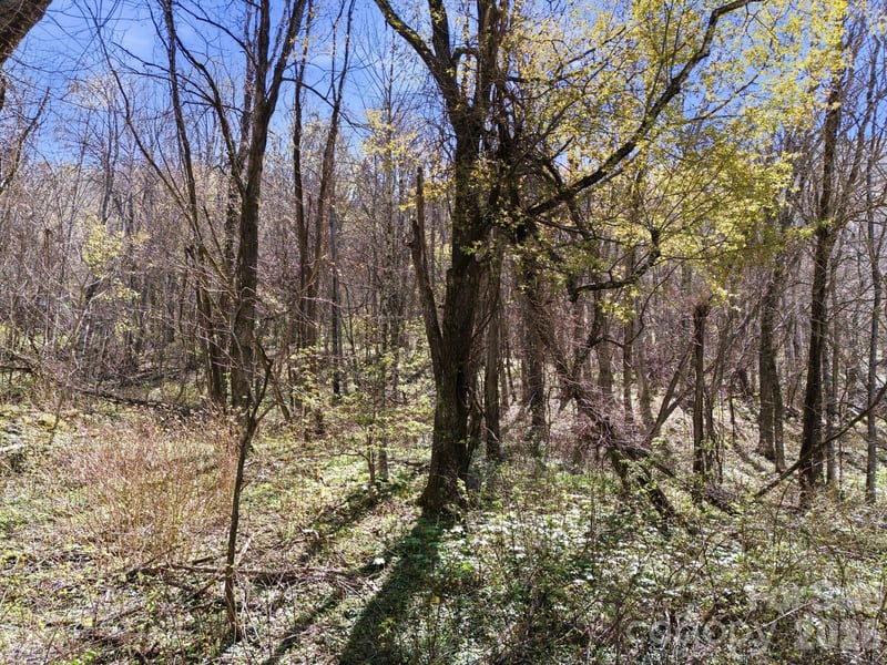 210 Apple Creek Rd, Waynesville, NC 28786