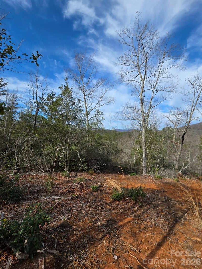 Lot 9 Kerlee Ln, Old Fort, NC 28762