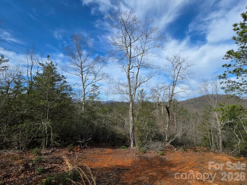 Lot 9 Kerlee Ln, Old Fort, NC 28762