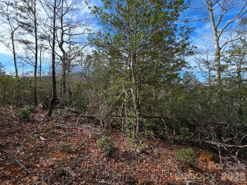 Lot 9 Kerlee Ln, Old Fort, NC 28762