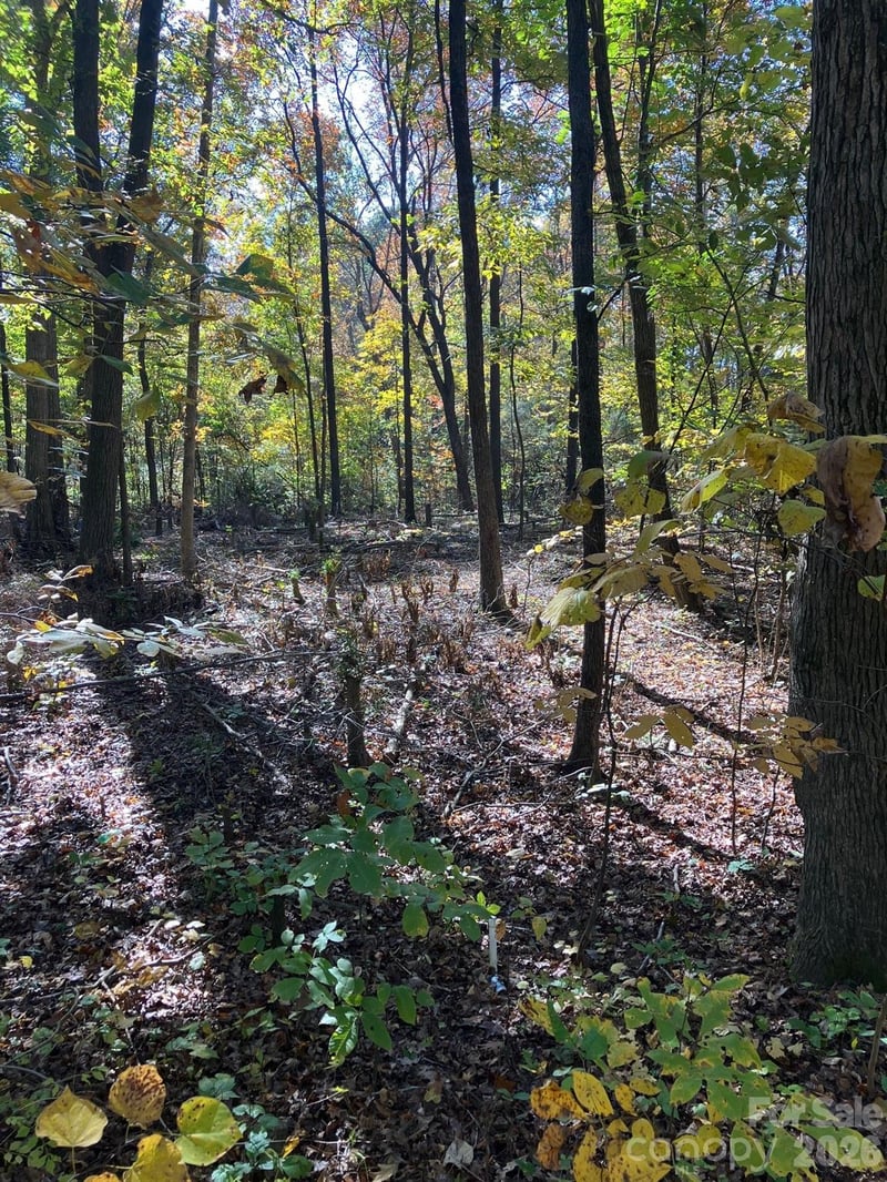 Poplar Lane Rd, Albemarle, NC 28001