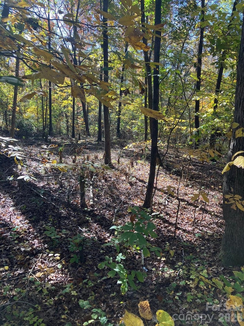 Poplar Lane Rd, Albemarle, NC 28001