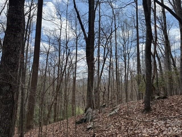 158 Chattooga Rn #402, Hendersonville, NC 28739