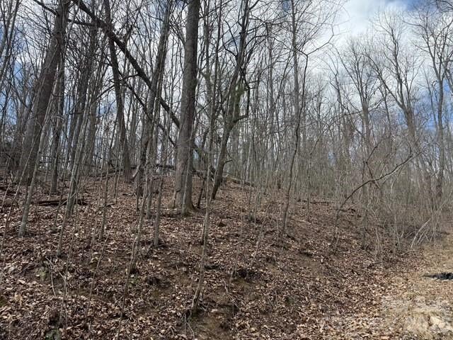 158 Chattooga Rn #402, Hendersonville, NC 28739