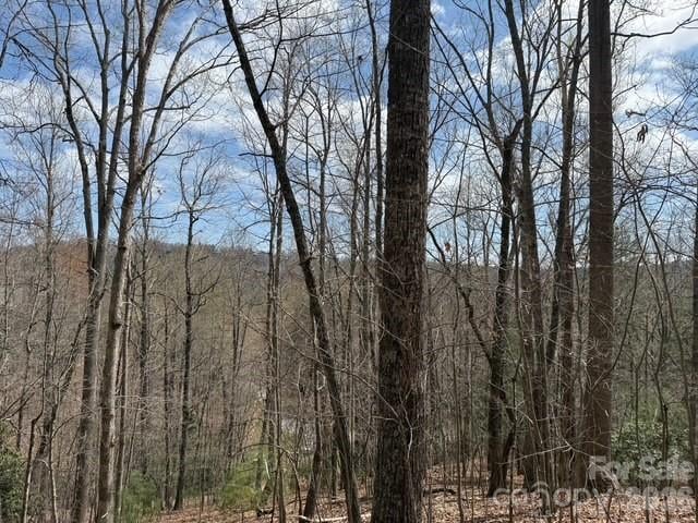 158 Chattooga Rn #402, Hendersonville, NC 28739