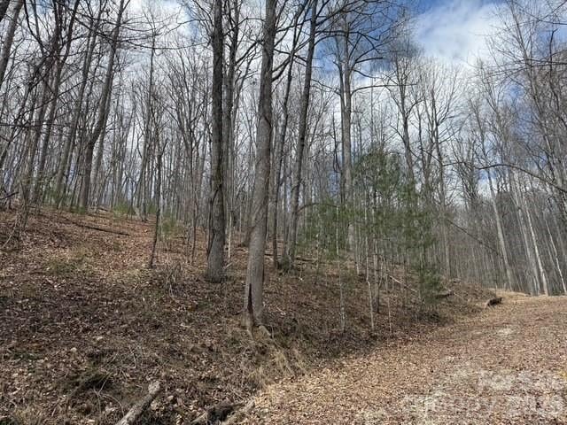 158 Chattooga Rn #402, Hendersonville, NC 28739