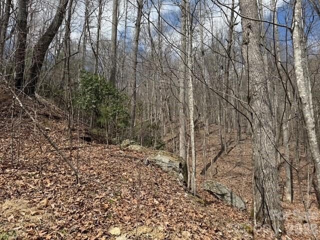 158 Chattooga Rn #402, Hendersonville, NC 28739
