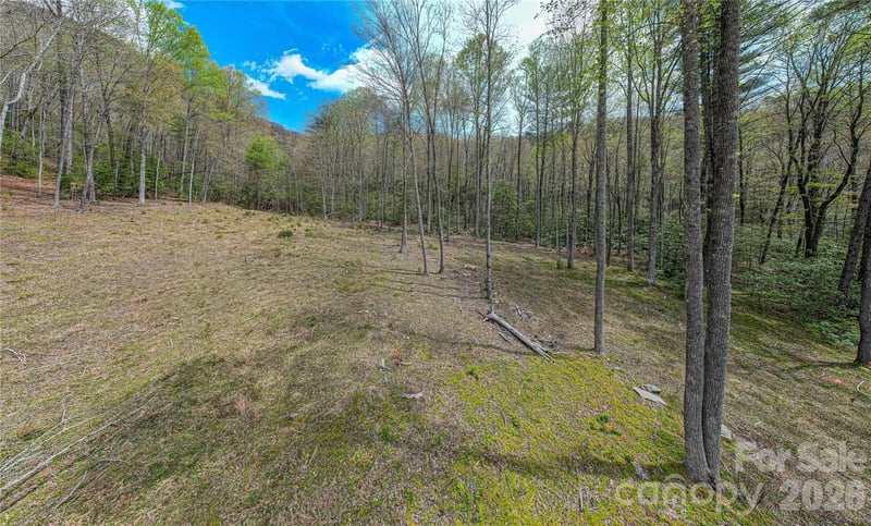 000 Rosman Hw, Sapphire, NC 28774