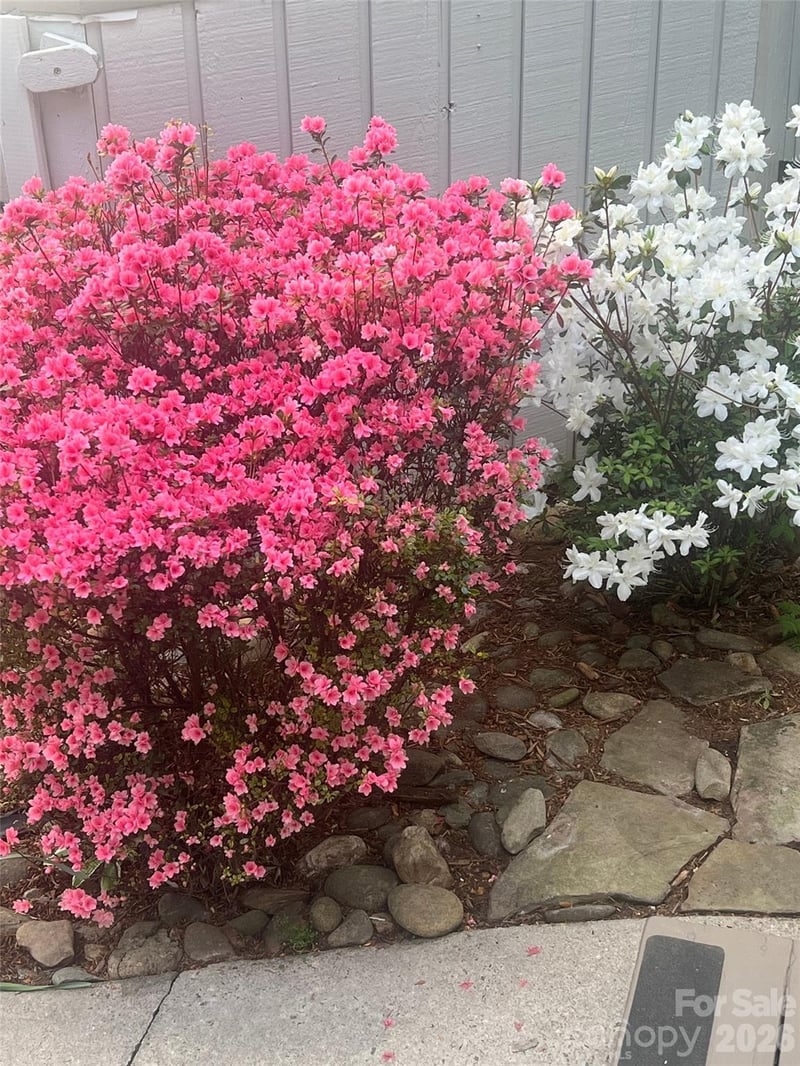 141 Deerlake Dr, Asheville, NC 28803