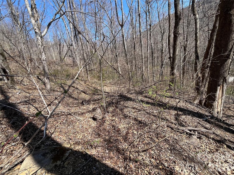 182 Old Mountain Ps, Hendersonville, NC 28792