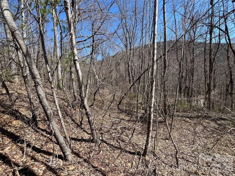 182 Old Mountain Ps, Hendersonville, NC 28792