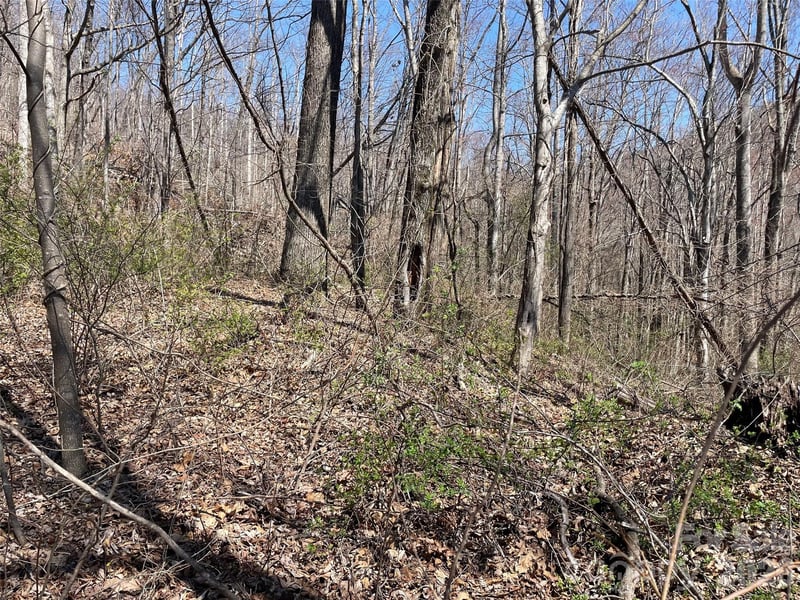 182 Old Mountain Ps, Hendersonville, NC 28792