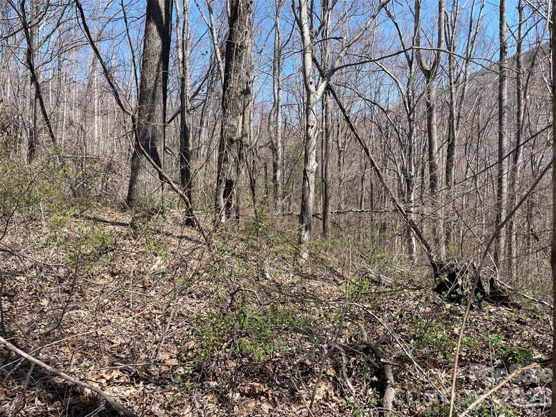 182 Old Mountain Ps, Hendersonville, NC 28792