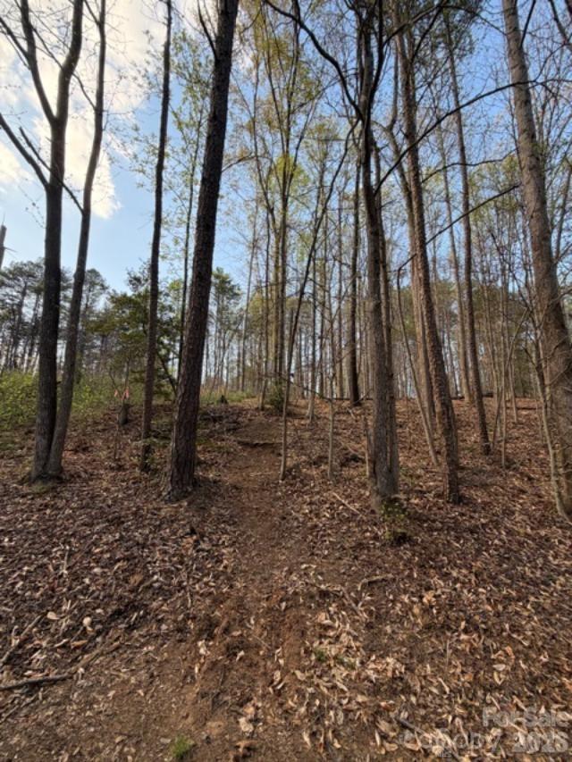 447 Hopewell Church Rd #58, Catawba, NC 28609