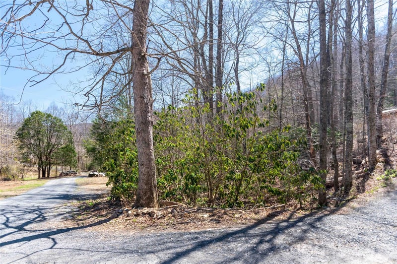 99 Banjo Branch Rd, Burnsville, NC 28714