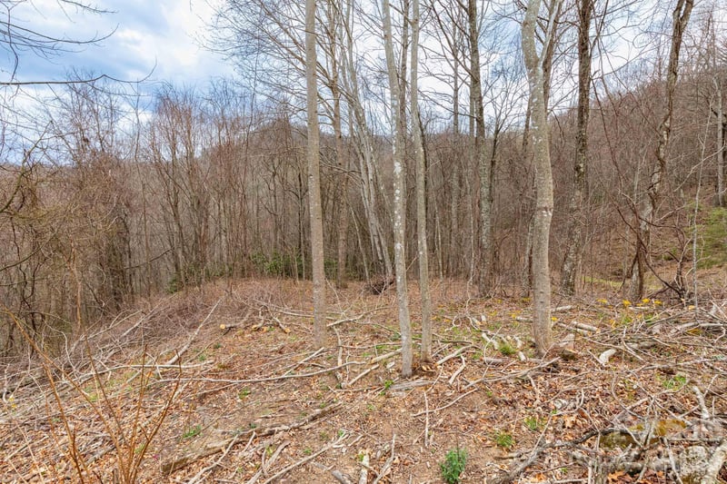 11 Chandra Ln, Clyde, NC 28721