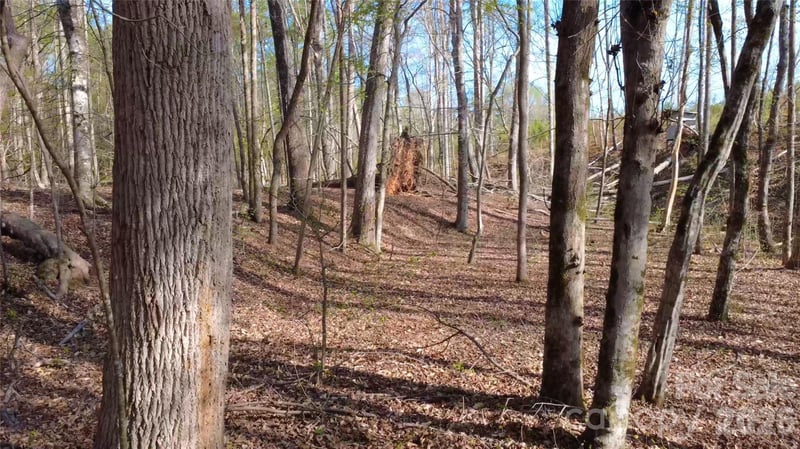 00 Bobby Faucette Rd #5, Jonesville, SC 29353