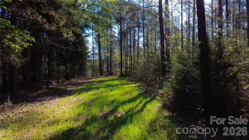 00 Bobby Faucette Rd #5, Jonesville, SC 29353