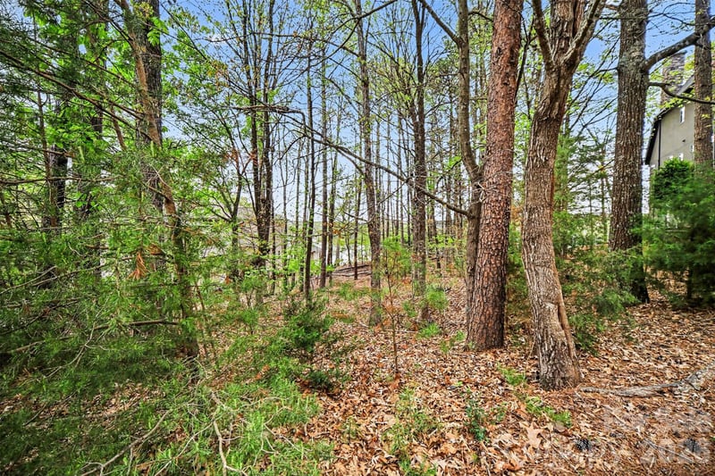 3217 Lake Pointe Dr, Belmont, NC 28173