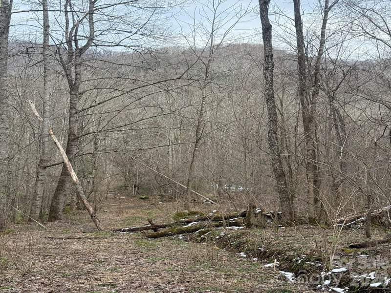 TBD 1.21 Acres Jass Cove Rd, Marshall, NC 28753