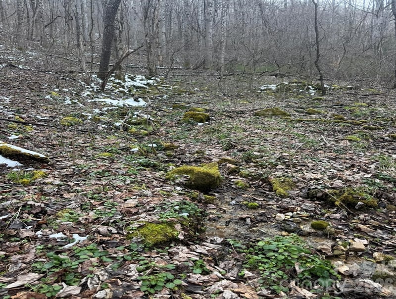 TBD 1.21 Acres Jass Cove Rd, Marshall, NC 28753