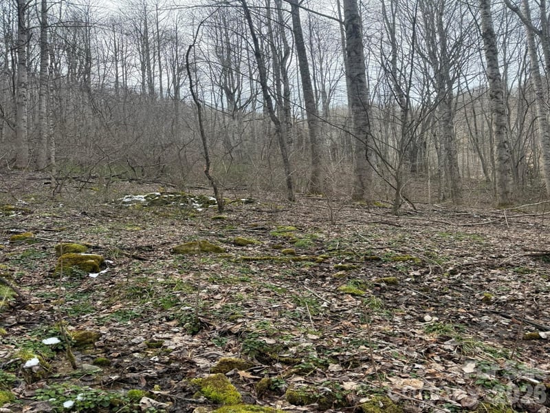 TBD 1.21 Acres Jass Cove Rd, Marshall, NC 28753
